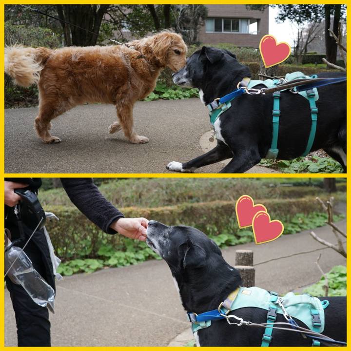 1b6e5abf 9f2a 4f96 b99e 1dc6f315ad60 1773794284167