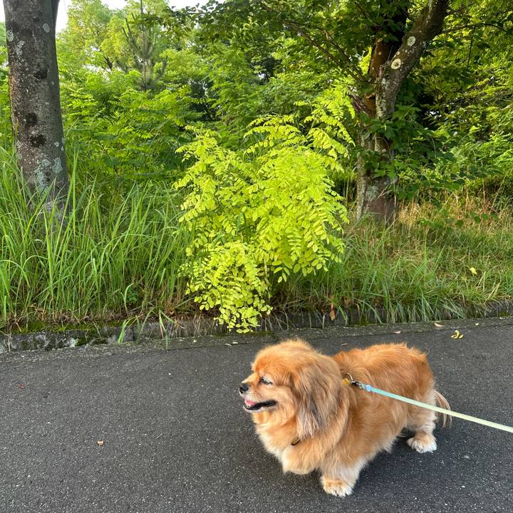 1b6e5c09 6f5b 42e3 8ae9 66eb03bbab69 1752009605614