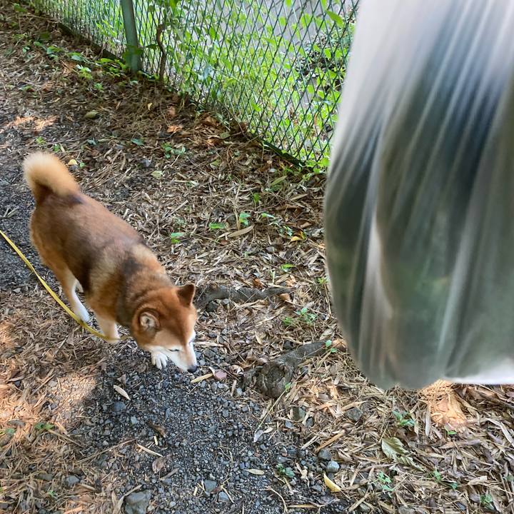 1b6eacf0 bd71 48f1 a488 29f0feae769c 1658538064030