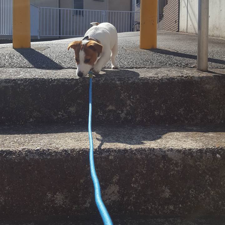 1b6eaef2 d88c 4768 80c4 787d7751f539 1552037181908