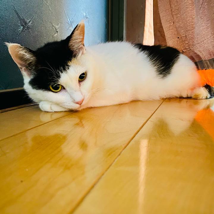 1b6eb9d3 399f 4d5b 8c13 3e9724f747f9 1656679480187