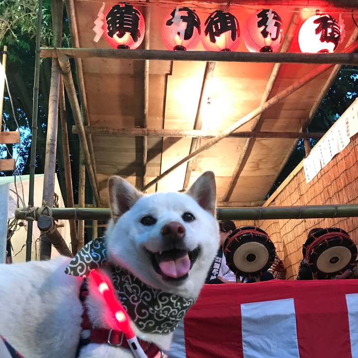 1b6ed324 7708 42fa 8021 e107ba957813 1533380288705