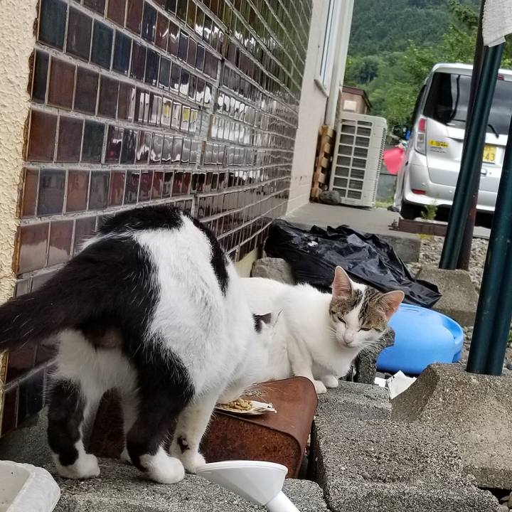 1b6ee1b5 f6a9 4422 820d 74d6cc7df93f 1566482935387