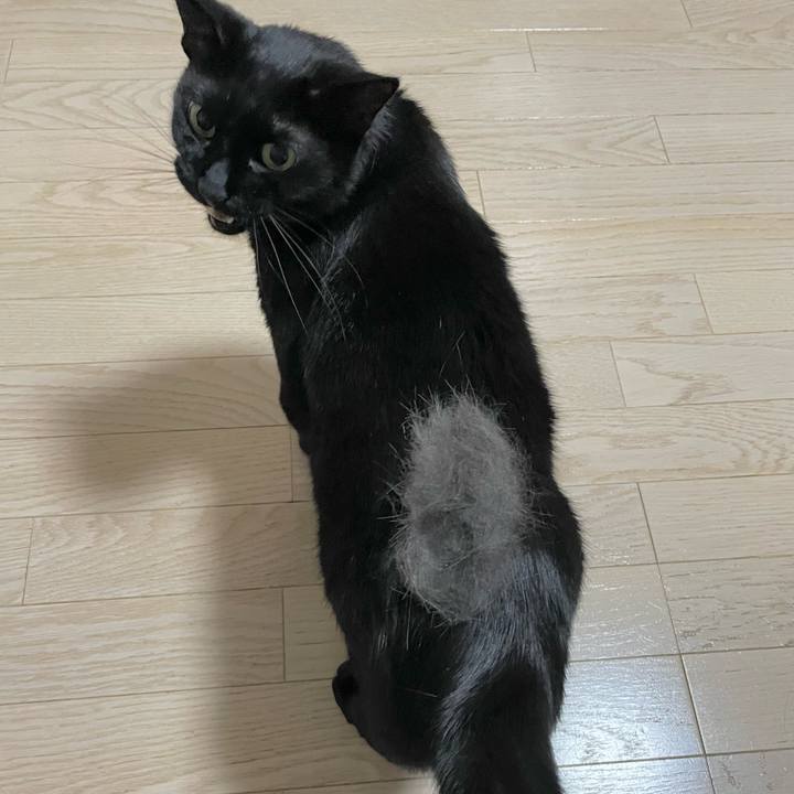 1b6eecbd 25c4 4d3c b312 6f4bd47d4bd1 1717589446115