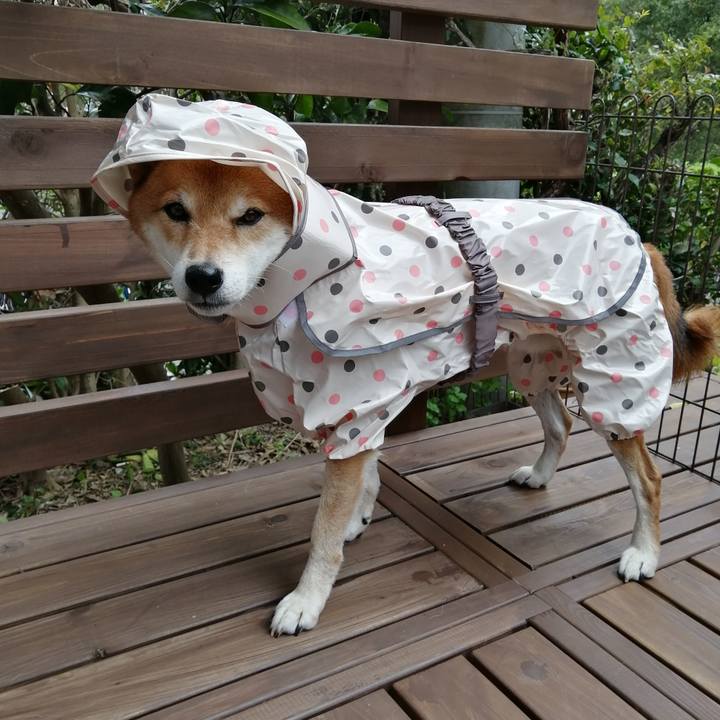 1b6efd8d 4485 4812 aac2 47dfb2267edb 1604288446801