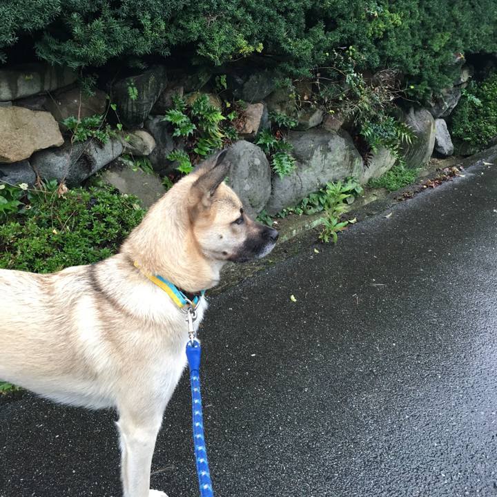 1b6f2890 683f 4d60 a5c3 d9ab4aa353b8 1508242087174