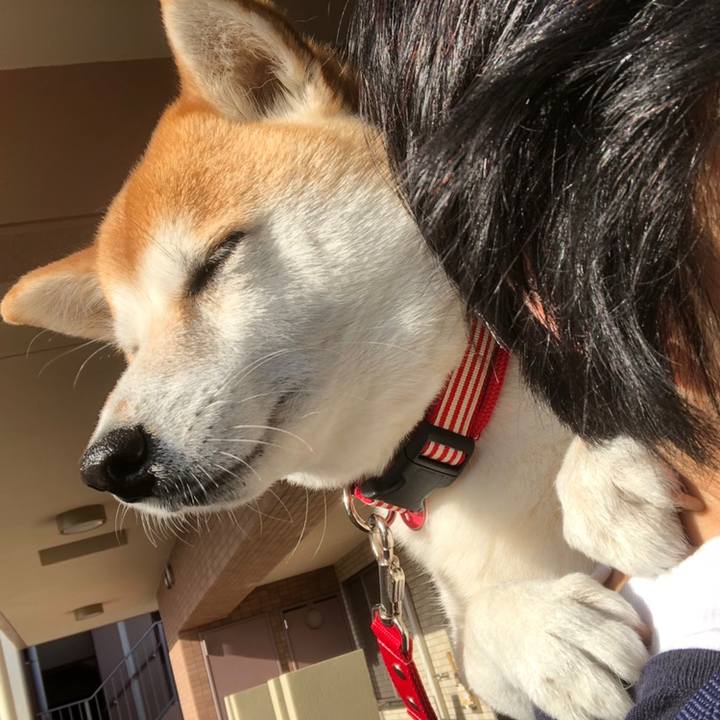 1b6f2dbd 6e7e 47cb add0 bdbce0685aa4 1559168721712