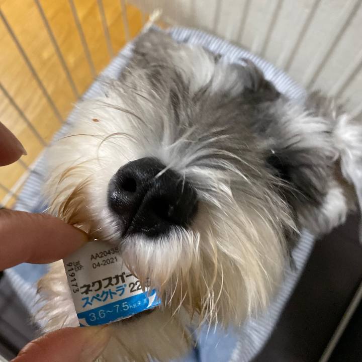 1b6f5909 877a 46b5 b11c 258aab2bd5f2 1569941182099