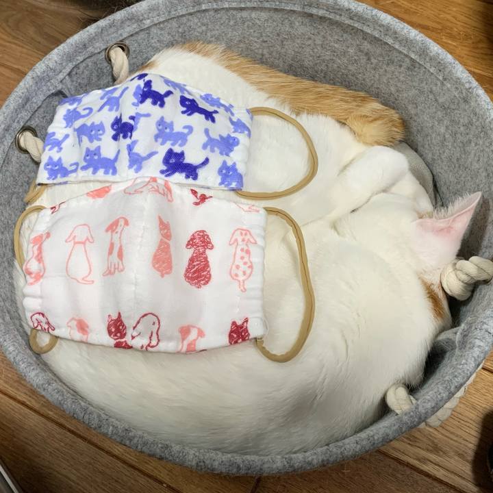 1b6f5bca 215f 47f8 b0ff 87dd2ceb82df 1583857119734