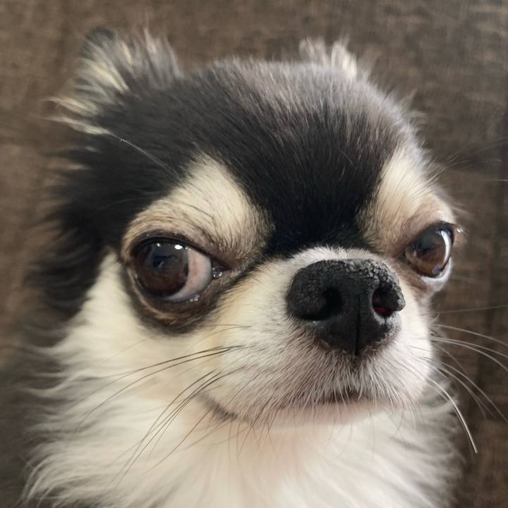 1b6fa405 327e 4ce9 adcc 54d1f90d66b3 1694878650950