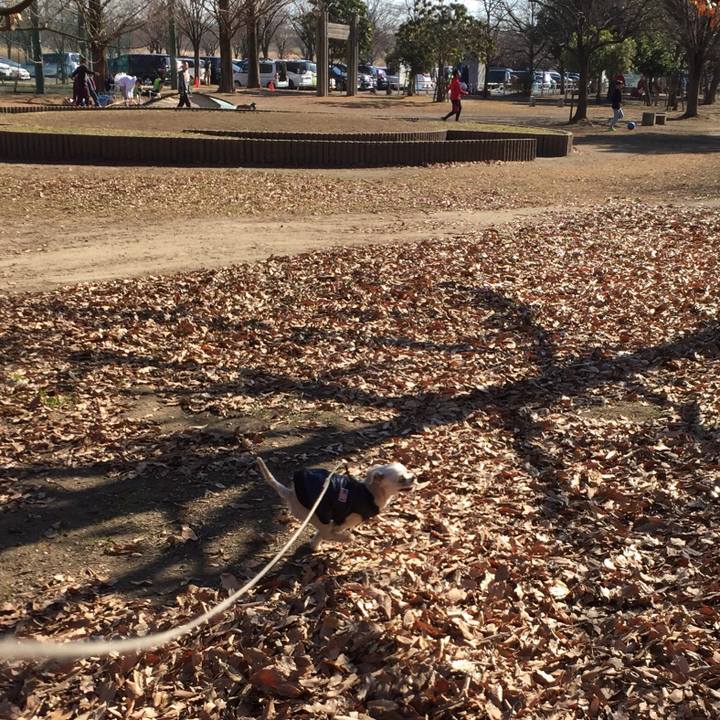 1b6faefb e63f 4eea b43e d7e4a79cc58a 1547456147951