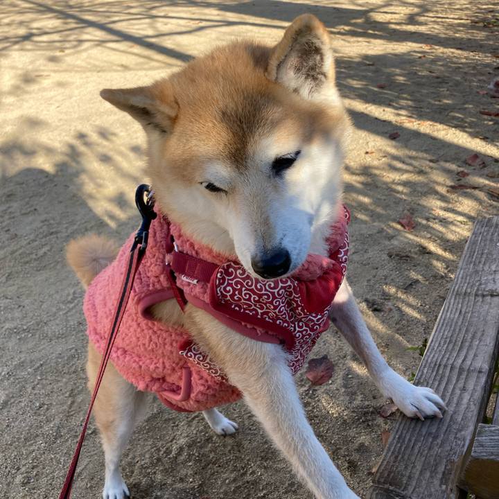 1b6fd4b1 9887 4b02 876a 122a87c42cf7 1639464574267