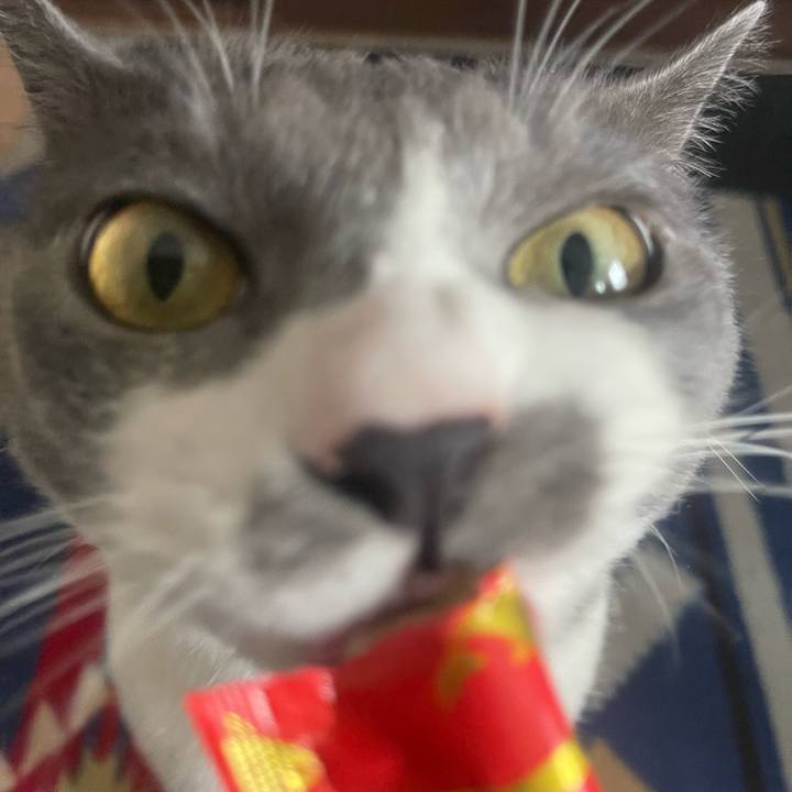 1b6fd806 f01f 4bd8 86cb a0b9cad8467b 1687074116641