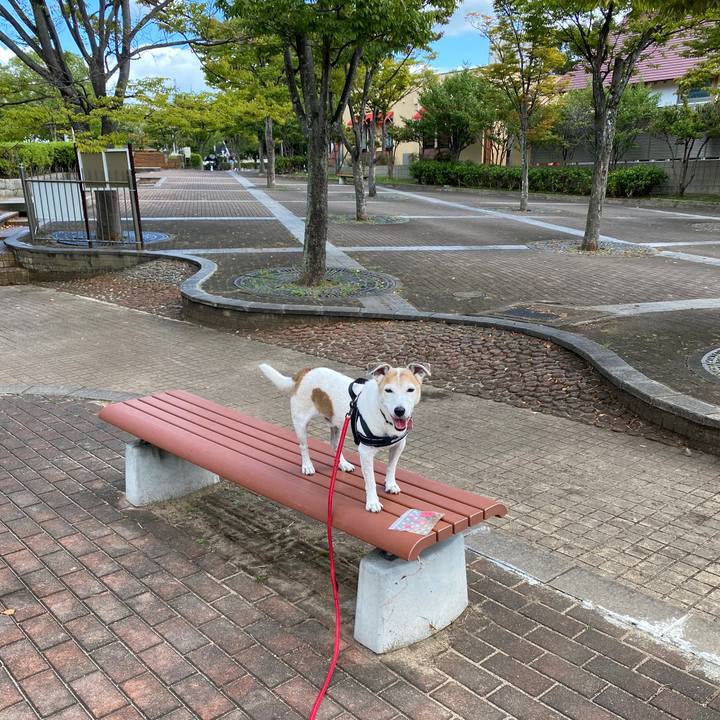 1b6fe9cb 62a1 43fa b8cb c45ef3fa5acb 1601181687911