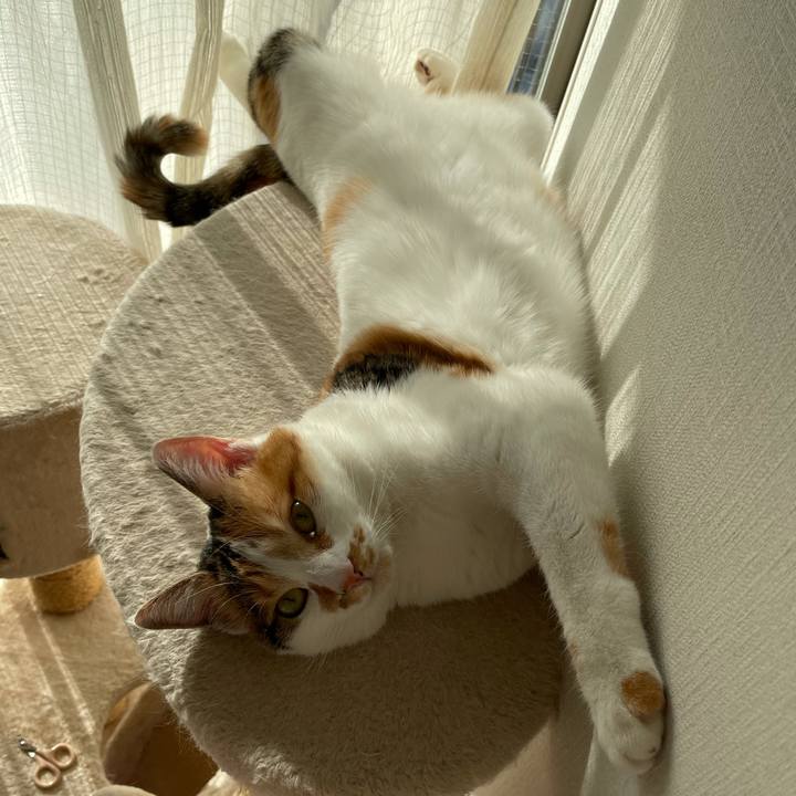 1b6ff8b8 5f9b 4a0a a398 d61feafe6b21 1608958970666