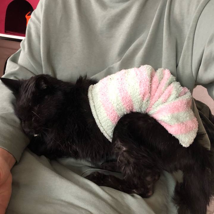 1b7038dd 81b1 4baa 905a de67fd4097fc 1651752229162