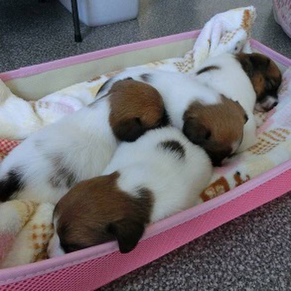 1b7051d5 9a12 4907 a435 7f08cf5a2c18 1528145855873