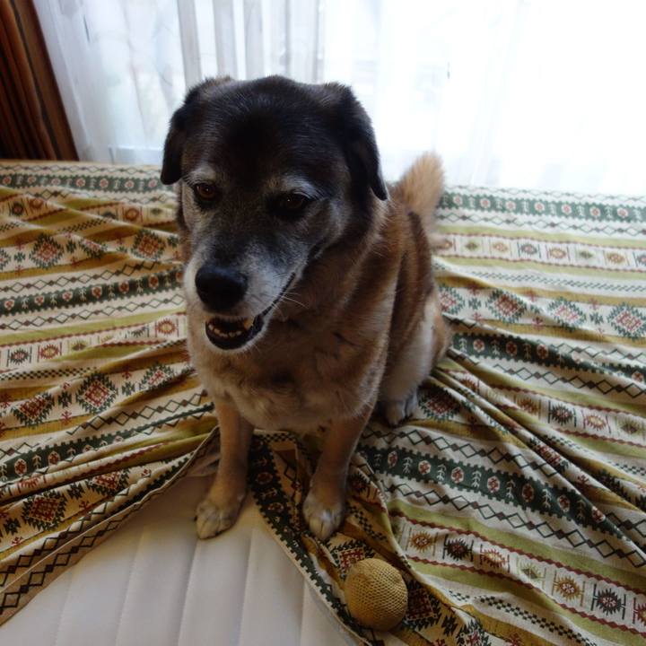 1b7073de e394 4691 b8be f6b30098e9ca 1637629382225