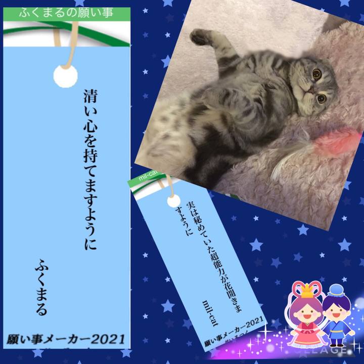 1b707d97 e70f 4dd5 bf76 03daf0105c81 1625632259089