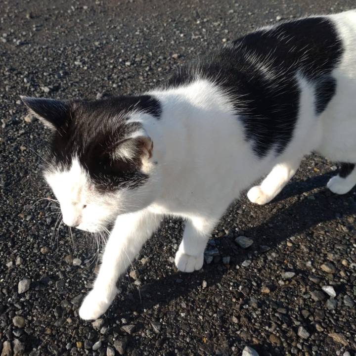 1b709ea6 29cd 452f a2ea c13cd3630cd8 1732239114055