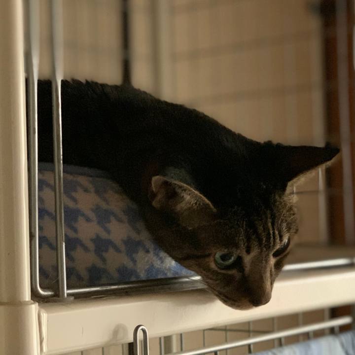 1b70c9bf 2e42 474e a616 15129e2c70ae 1600996967161