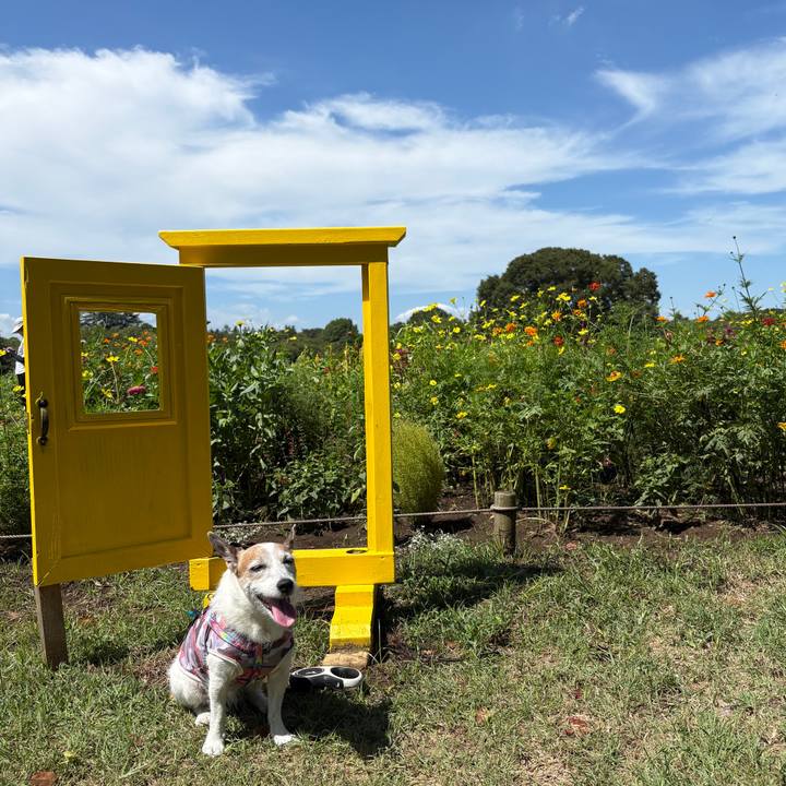 1b70e1bf f26b 43a4 b874 bbd6710089c6 1757546778134