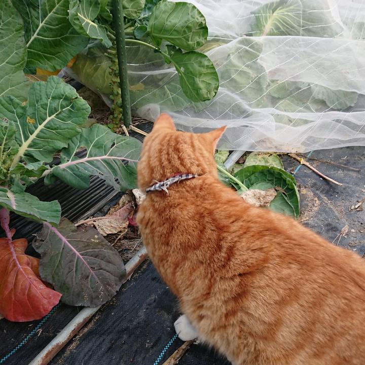 1b70f218 65bb 43ee a046 d614a199c772 1574494161264