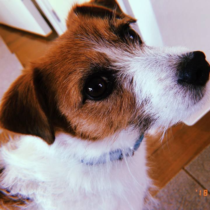 1b710170 1d78 40a8 a331 3e4f6596b37e 1524994556550