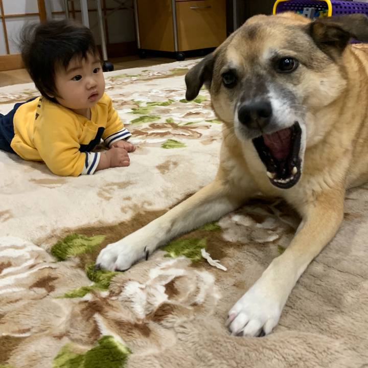 1b712b7b eae8 439c 86a0 9a0fed4e696c 1544178601422