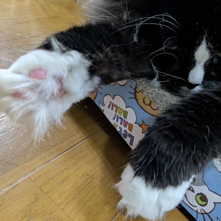 1b716aac d743 46c2 b6a4 866f859c3226 1760960676681