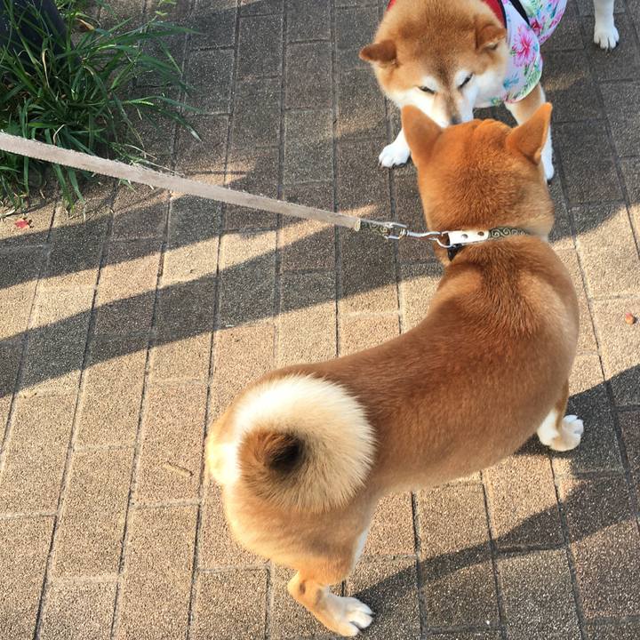 1b719fb6 af0d 4d03 a102 698d35c61ea3 1596670954183