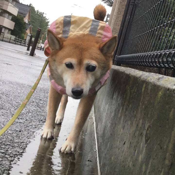 1b71bdc6 6dd2 4ee4 ba14 ba012a4ec28c 1629016405450