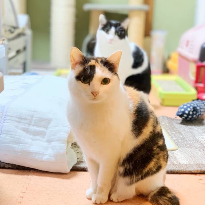 1b71ef3c 8451 4f13 b31c fa1a7599459d 1548813315175