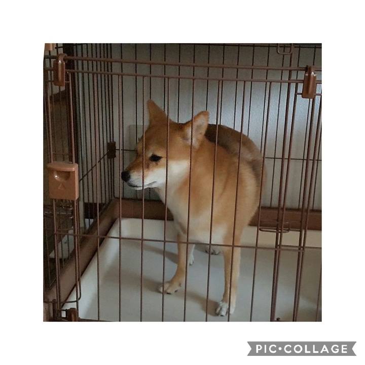 1b71febb 60cf 40fb 9ff9 68d996a3feb2 1667859088897