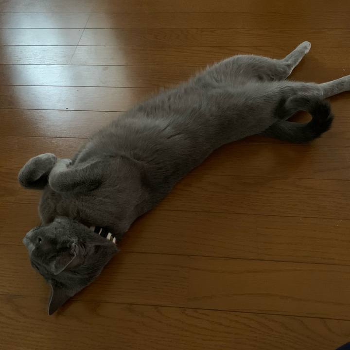 1b7228c7 3552 4f42 9271 d913966c7c5d 1609933467646