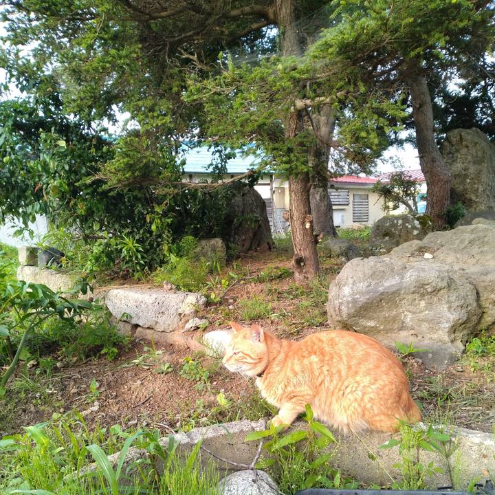 1b728cfd d744 415b 9ed8 f0a1d1157c60 1688427061222