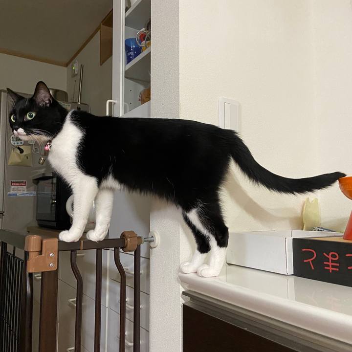 1b729656 e1de 4976 bad5 ae009436be2b 1666928707692