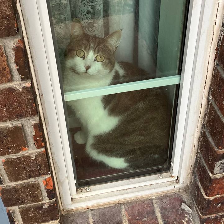 1b72b6f0 08f5 4ce3 9d31 1cabad2a3760 1708991095488