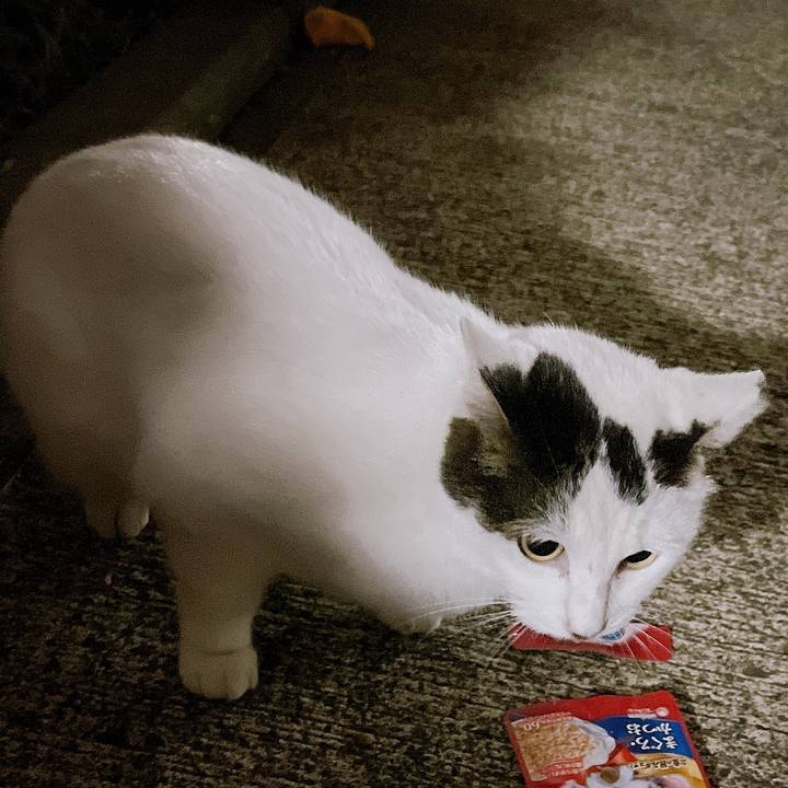 1b72d5a1 020c 401d 9ab2 cc3ed9499c41 1674897812340