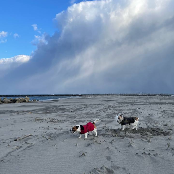 1b732c5c d223 4f4b 98c4 fbc37fbecda7 1709767074089