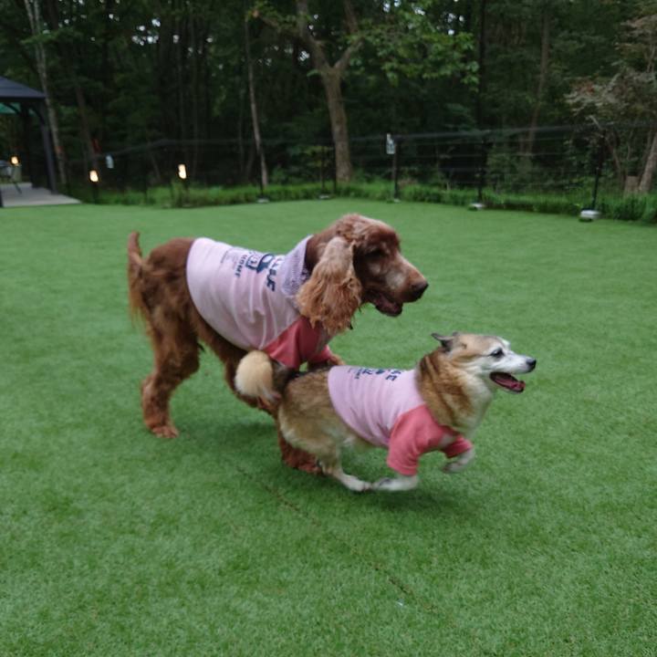 1b734c2a f739 4b17 9dfb cc394b5b0e19 1694859735988