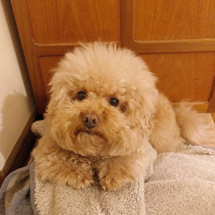 1b736086 53b9 4737 a31c f5b42b2ef3f8 1517546290211