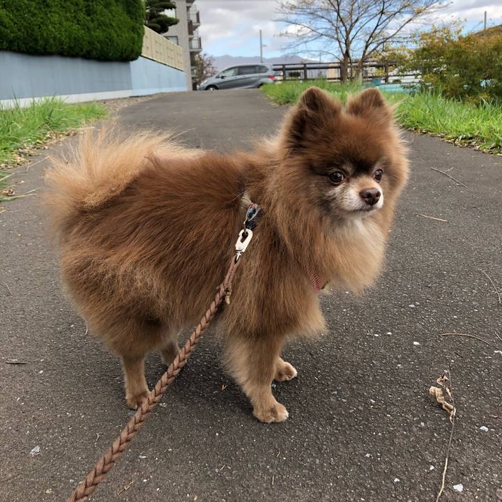 1b73a707 2b0f 497b af62 0a00c3d29586 1603715753507