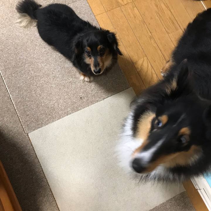 1b741ece df1f 42c5 82e7 0d38974231dc 1539209349770