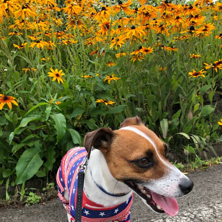 1b746dcd 4d54 432a b127 fb7e823ce954 1595568945948