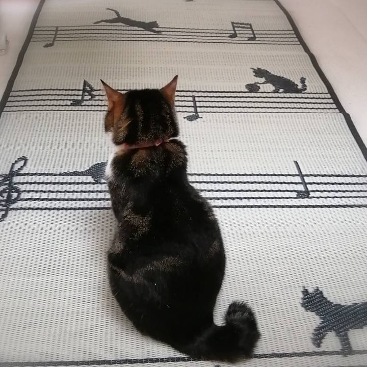 1b74a486 855b 46ba 8e9e b3531b5610c1 1595498297152