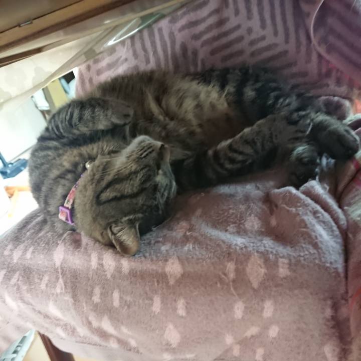 1b74c14a 1a1c 41d0 a20d 5a50341c69d5 1652220639465