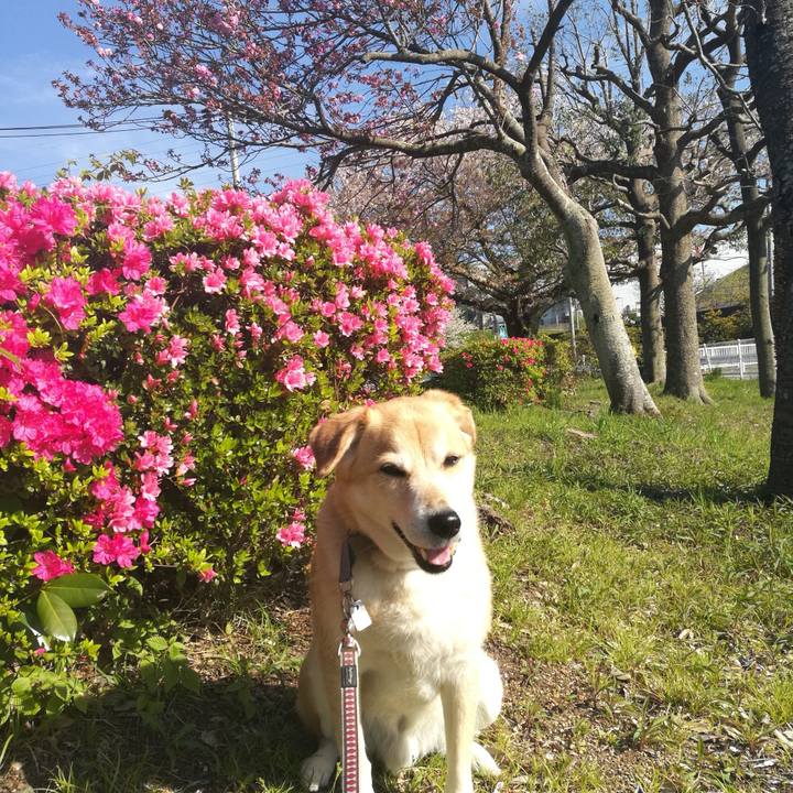 1b74eeeb f180 4abd 8f4b a52b912b2d6f 1555408260686