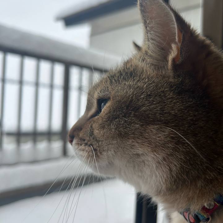 1b750574 01fc 46af 97e4 0ebddfb6357b 1770506176861