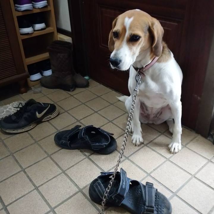 1b752307 2ed0 462b 906c 18803bf77453 1602397033486